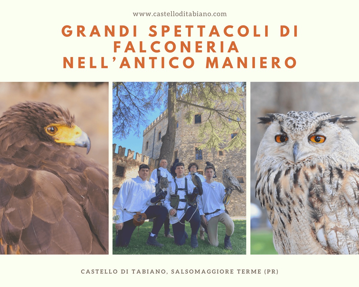 Grandi spettacoli di falconeria Tabiano Castello