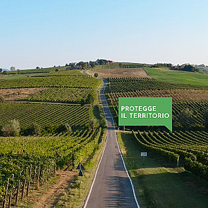 Environmental Sustainability