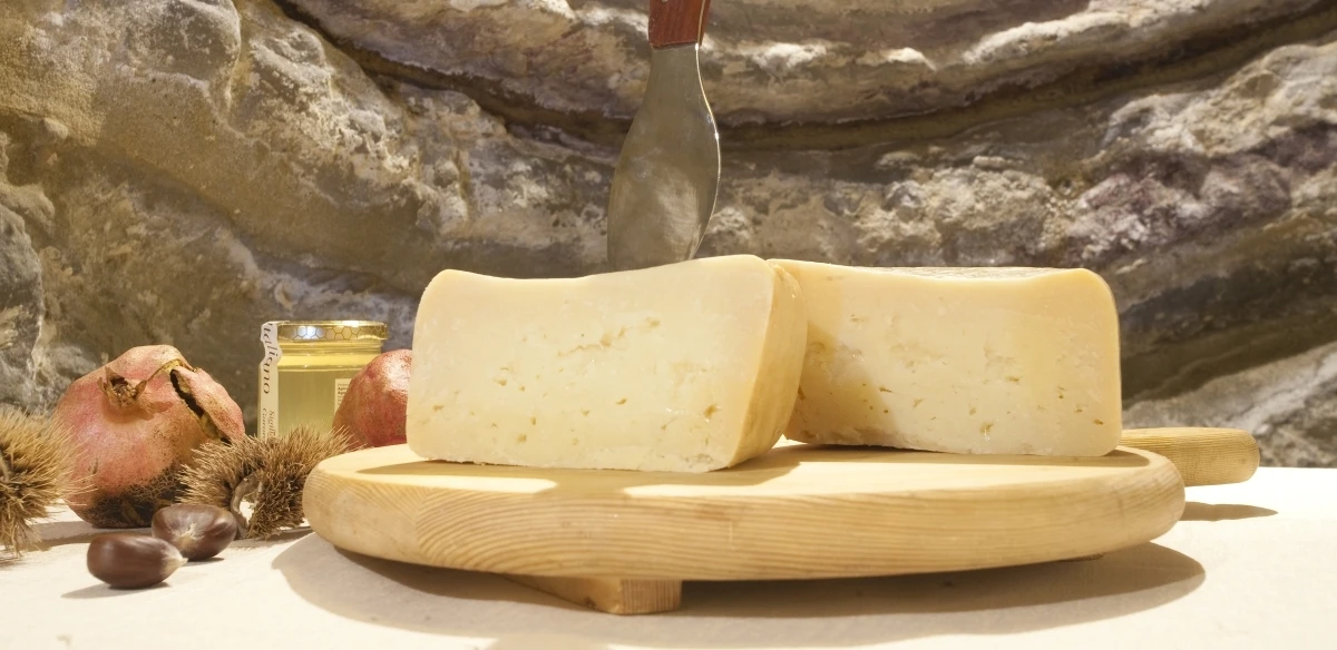 Talamello