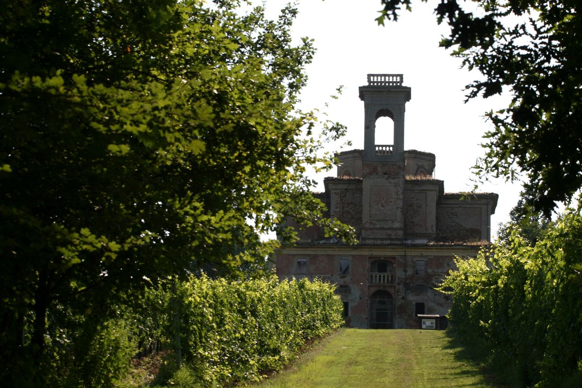 Meldola Visit Romagna