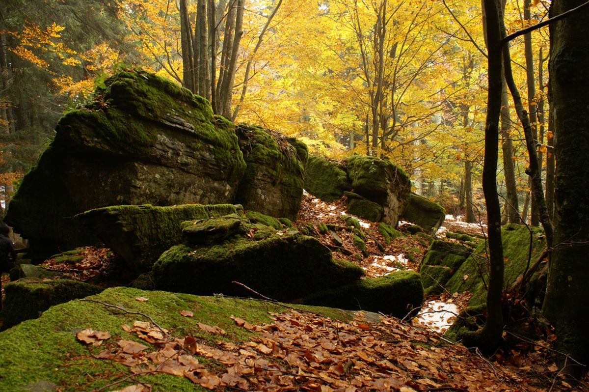 Sentiero delle Foreste Sacre