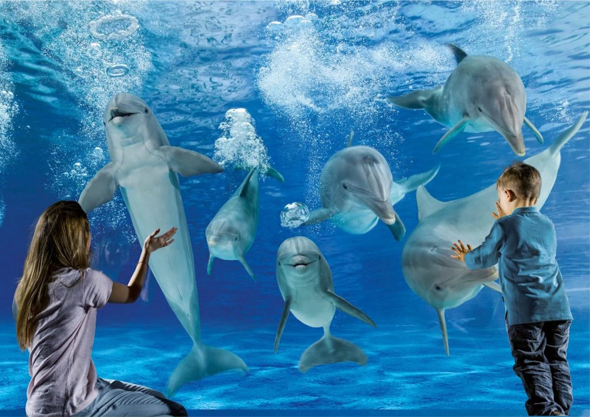 DIVERTIMENTO OCEANO FAI DA TE - Kit Creativo Per Bambini Con Attività A Tema Mare - Gioco Educativo