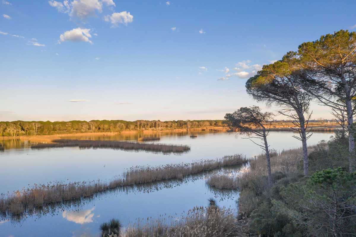 Ravenna Turismo - Official tourist information site