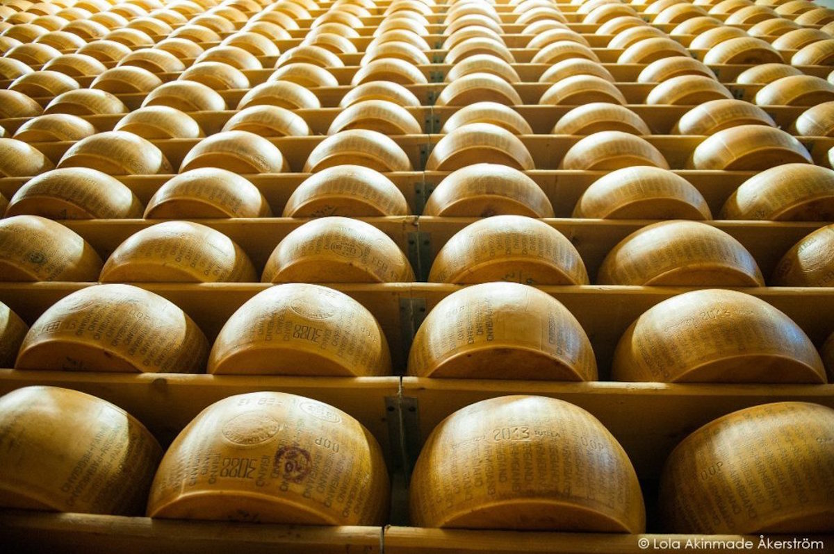 Cheese storage with parmesan cheese (cheese factory), Parma, Emilia  Romagna, Italy, Stock Photo, Picture And Rights Managed Image. Pic.  IBR-708619