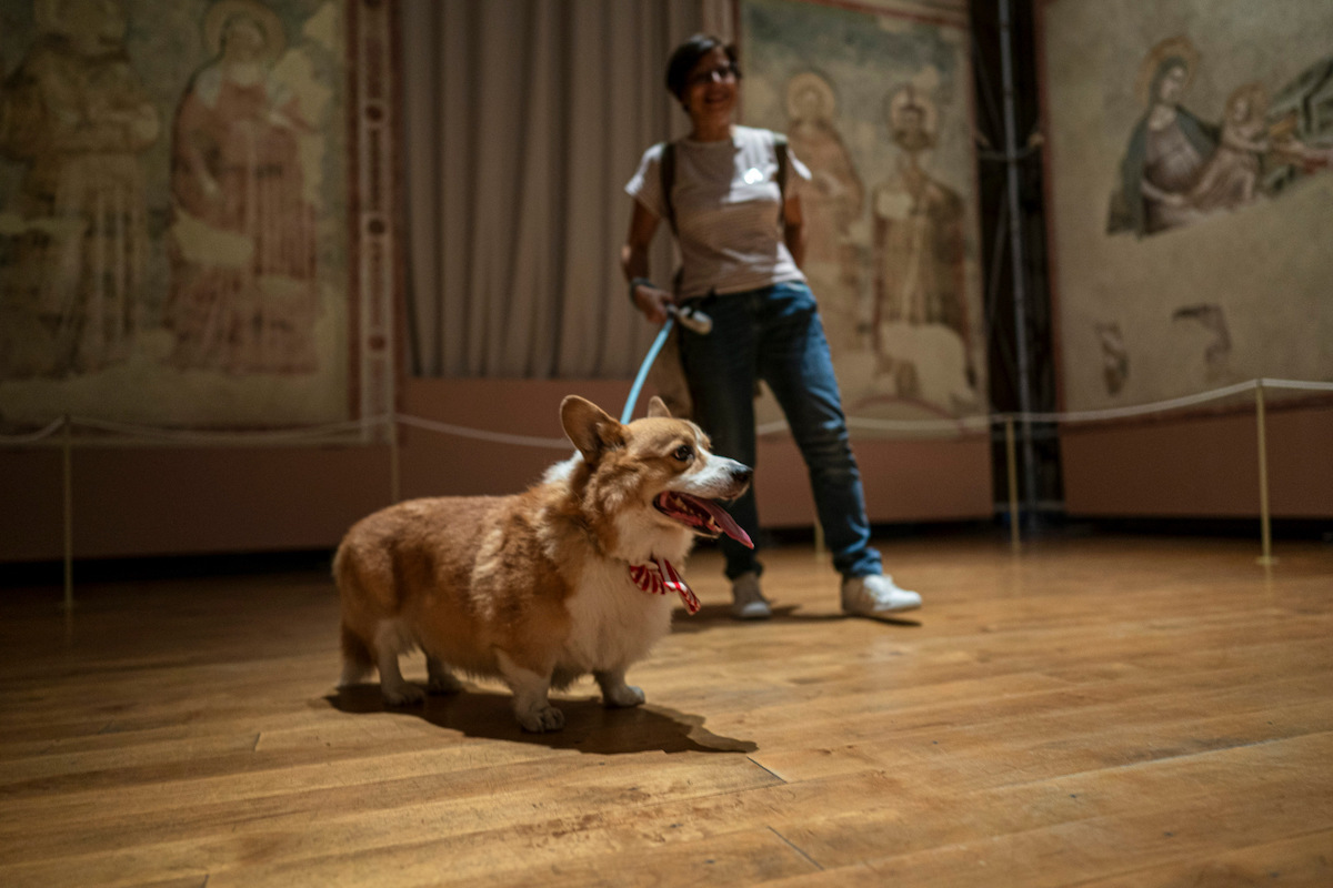 Ravenna, Pet al Museo Arcivescovile