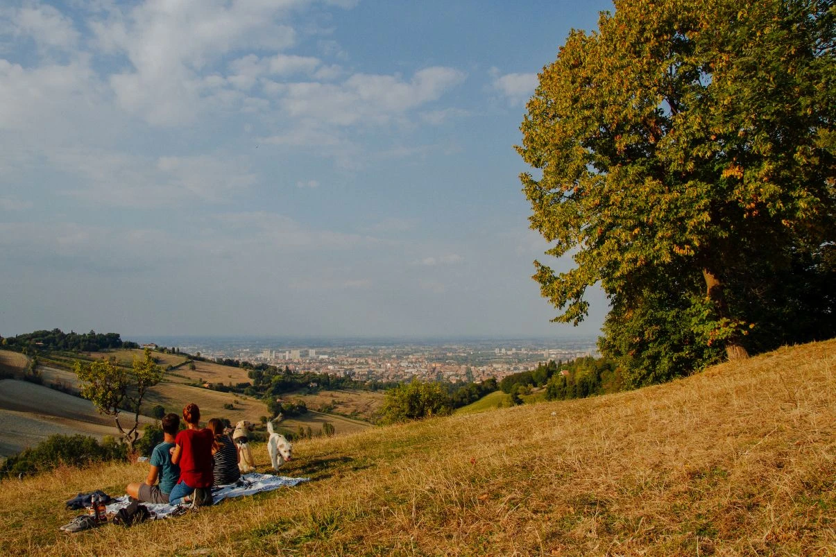 What to do in Bologna in summer: keeping cool with culture and ...