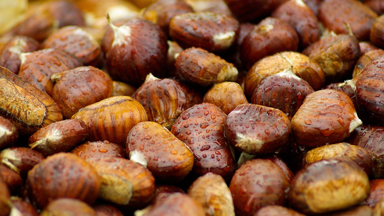 Castagne fotografate, immagine associata alla scheda della sagra autunnale di Rocca San Casciano — Sagra dei Sapori e Mercati d’Autunno della Romagna Toscana e Sagra della Piadina Fritta