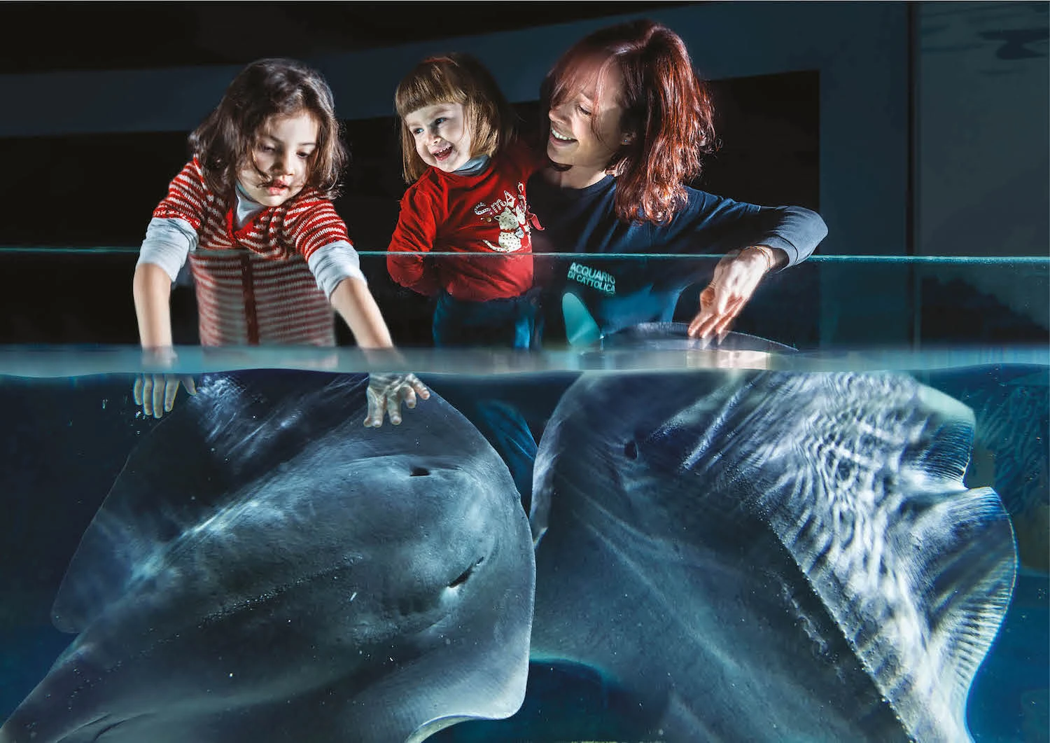 Cattolica (RN), Acquario di Cattolica in famiglia
