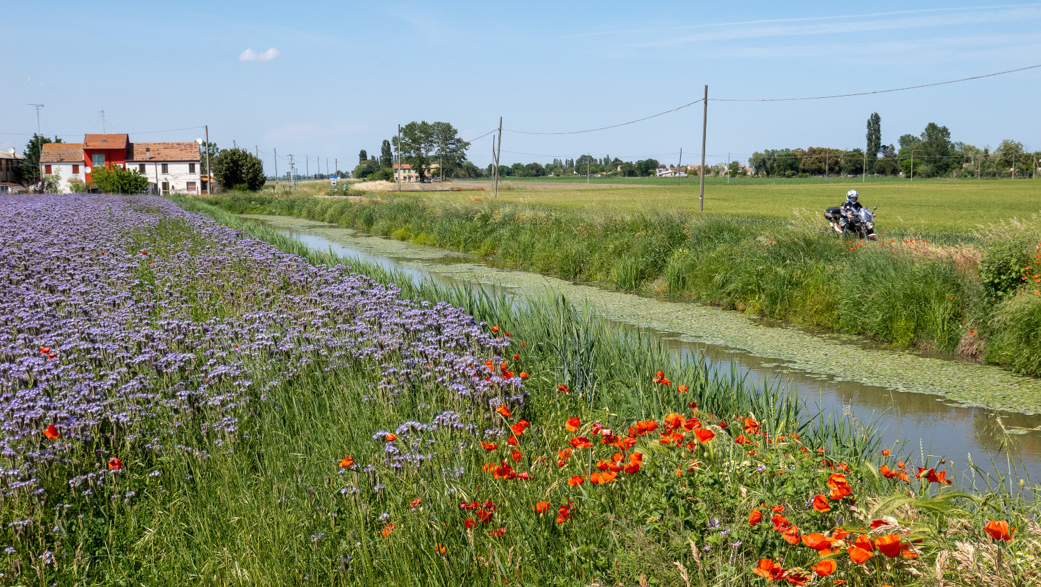 Alla scoperta dei territori della Grande Bonifica | Visit Romagna