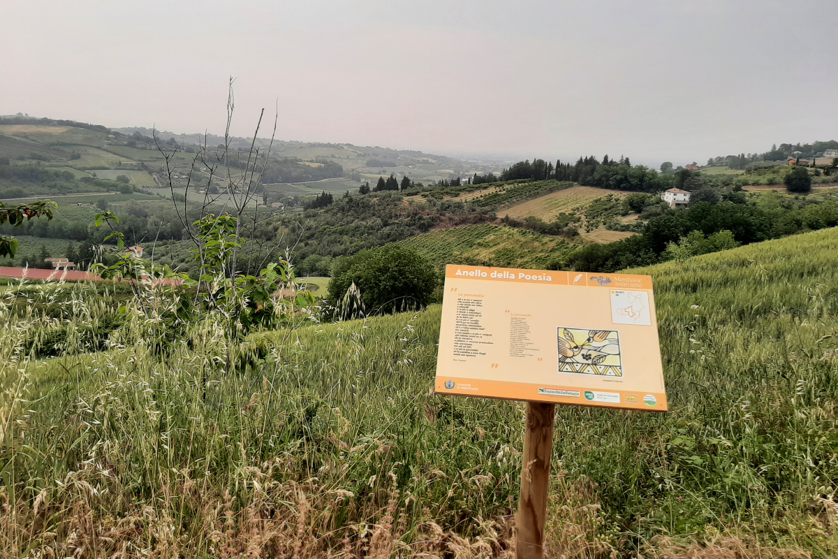 5 cose a...MONTIANO Visit Romagna