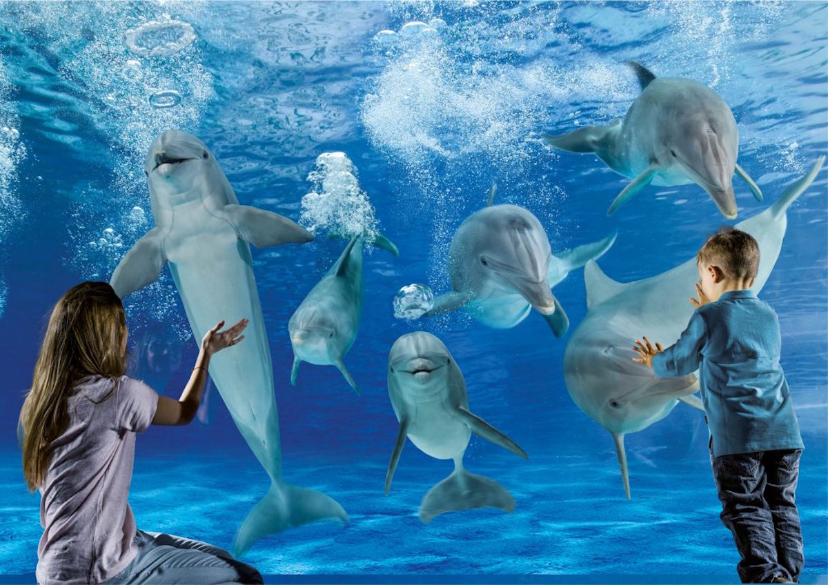 Con la musica nel cuore